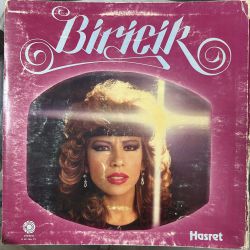 BİRİCİK - HASRET PLAK