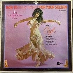 ÖZEL TÜRKBAŞ - HOW TO BELLY DANCE FOR YOUR SULTAN PLAK